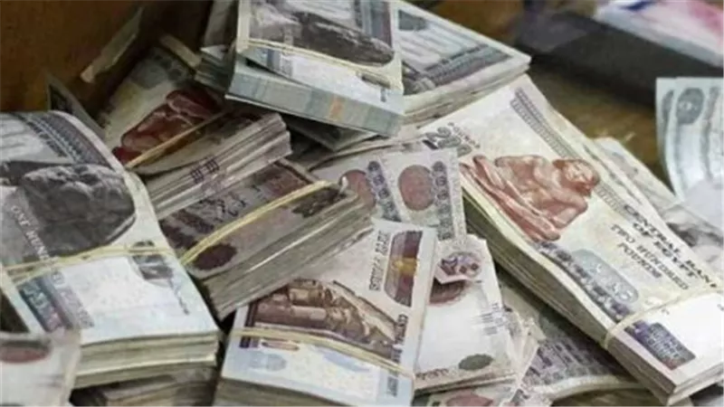 المالية تحدد 5 أيام لصرف مرتبات ديسمبر 2025.. إليك المواعيد التفصيلية