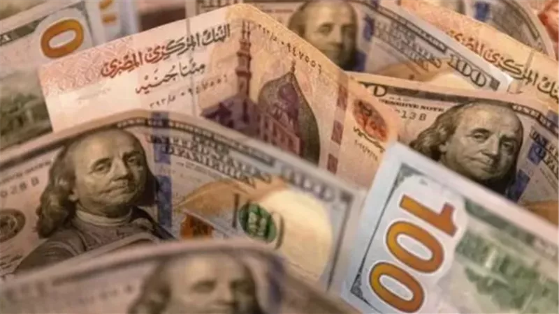 سعر الدولار اليوم السبت 20 ديسمبر 2025: استقرار العملة الخضراء في البنوك المصرية