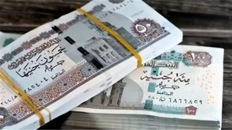 موعد صرف معاشات شهر يناير 2026: خطوات الاستعلام وقيمة الزيادة الجديدة بالتفصيل