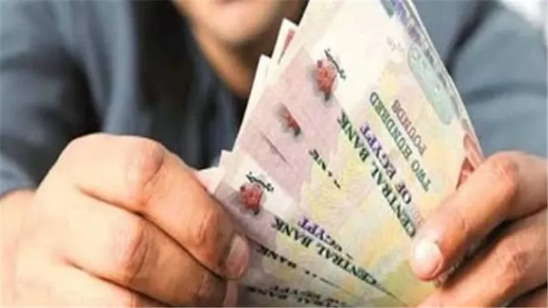 دليل أصحاب المعاشات: كيف تعرف قيمة مستحقاتك في يناير 2026 عبر موقع الهيئة؟