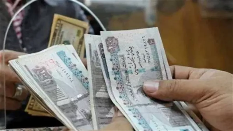 خطة التأمينات لعام 2026: رفع الحد الأدنى للمعاشات وتحسين الخدمات الإلكترونية