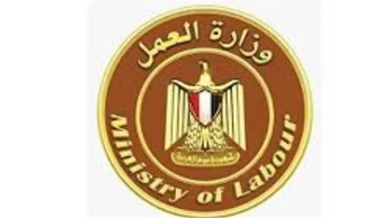 وزارة العمل تعلن عن 7574 فرصة عمل في 13 محافظة.. رواتب مجزية وتأمين كامل (دليل التقديم)