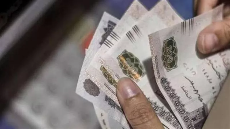 المالية تعلن موعد صرف مرتبات ديسمبر 2025 لجميع الموظفين بالدولة