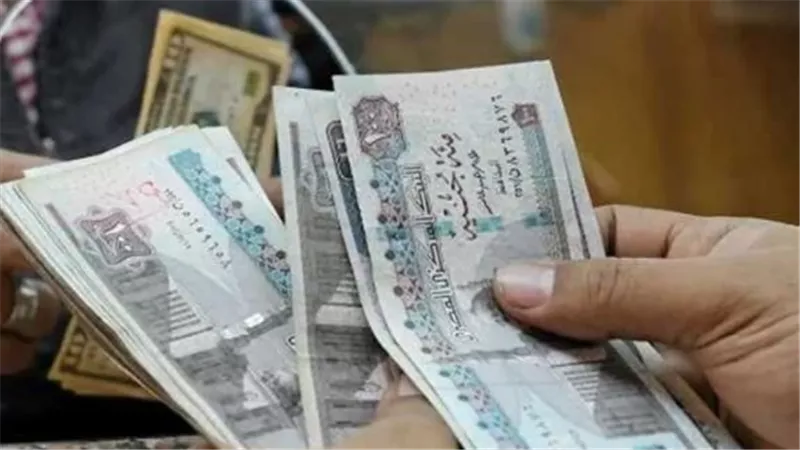 من السادسة للعليا.. ننشر جدول رواتب الموظفين الجديد في مرتبات ديسمبر 2025