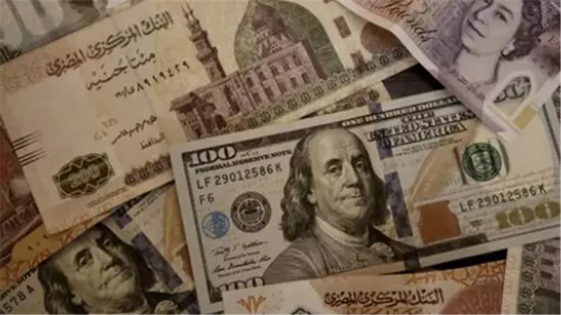 استقرار سعر الدولار في مصر اليوم الخميس 25 ديسمبر 2025: رصد شامل للبنوك