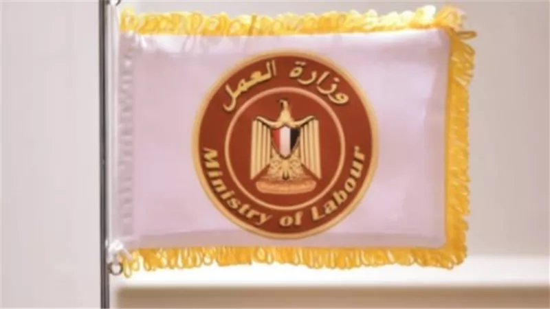 بالروابط والأرقام.. دليل التقديم على وظائف شركة إدارة المشروعات بالمعادي