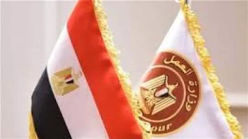 فرص عمل للجنسين بالقاهرة.. وزارة العمل تكشف تفاصيل وظائف 