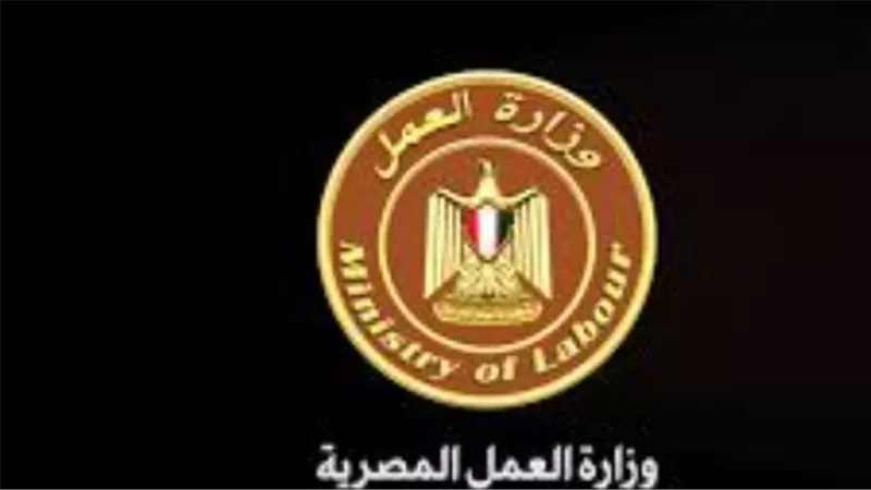 تبدأ من 6 آلاف جنيه.. ننشر قائمة رواتب وشروط وظائف وزارة العمل بالقطاع الخاص