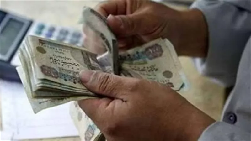 العمالة غير المنتظمة في قلب منظومة الأمان الاجتماعي.. امتيازات وتيسيرات غير مسبوقة