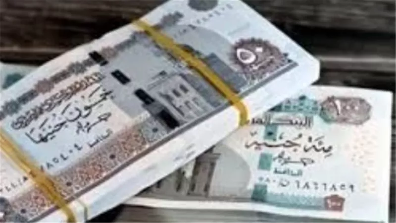 تحليل قرارات الهيئة القومية للتأمين الاجتماعي لعام 2026