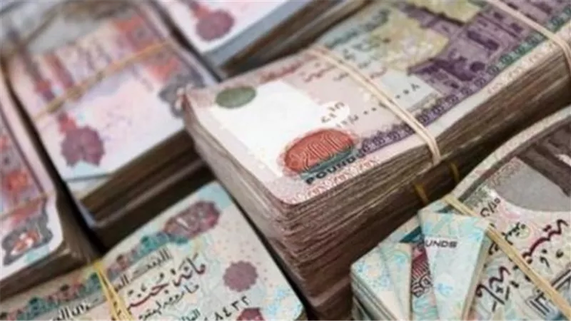 دليل المؤمن عليه: كيف تضمن الاستفادة القصوى من نظام التأمينات الجديد؟