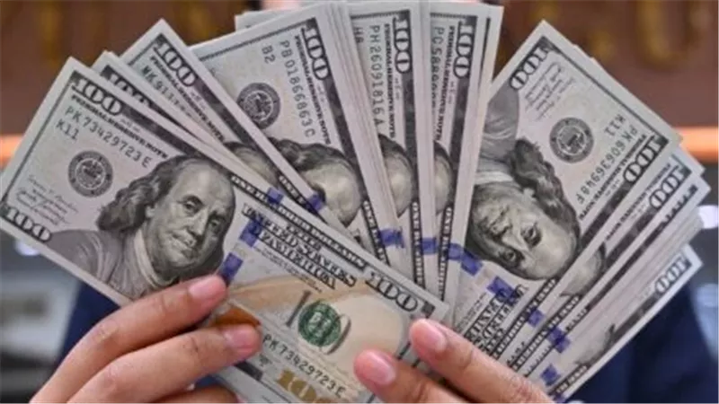 سعر الدولار اليوم في مصر: استقرار ملحوظ في البنوك مع نهاية عام 2025.. قراءة في الأرقام والمؤشرات