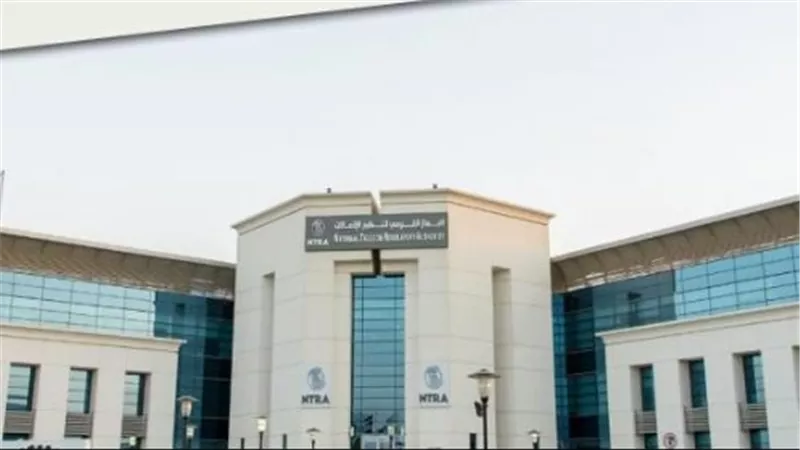 لمستخدمي المحمول.. دليلك للتعامل مع توقف خدمات الجهاز القومي للاتصالات مؤقتًا