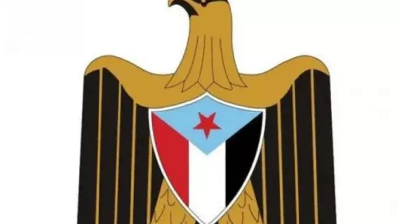 الإعلان الدستوري الجنوبي: خارطة طريق 