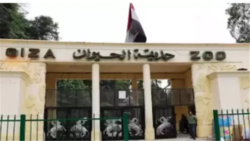 بشرى سارة للمواطنين.. الكشف الموعد الرسمي لافتتاح حديقة حيوان الجيزة 
