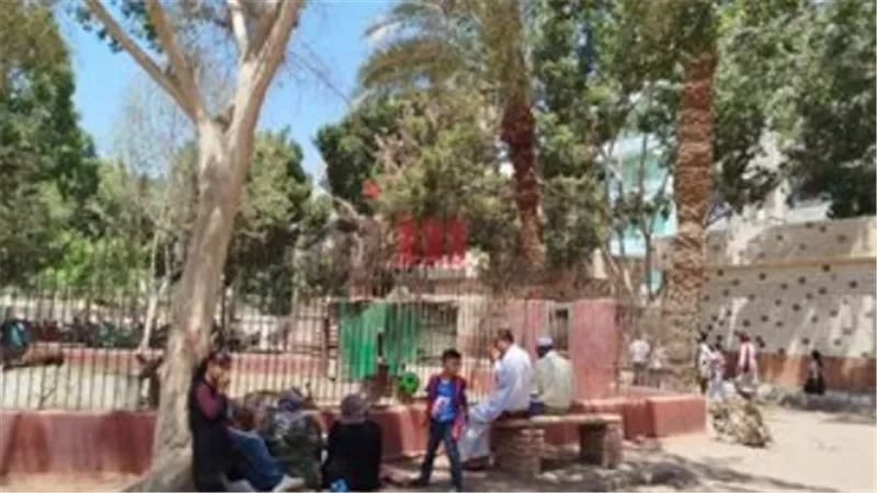 من كوبري إيفل إلى جزيرة الشاي.. رحلة داخل معالم حديقة الحيوان الأثرية بعد التطوير