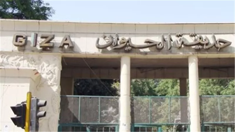خريطة حديقة الحيوان الجديدة.. عروض حية مع أسود البحر وقبة زجاجية للميركات