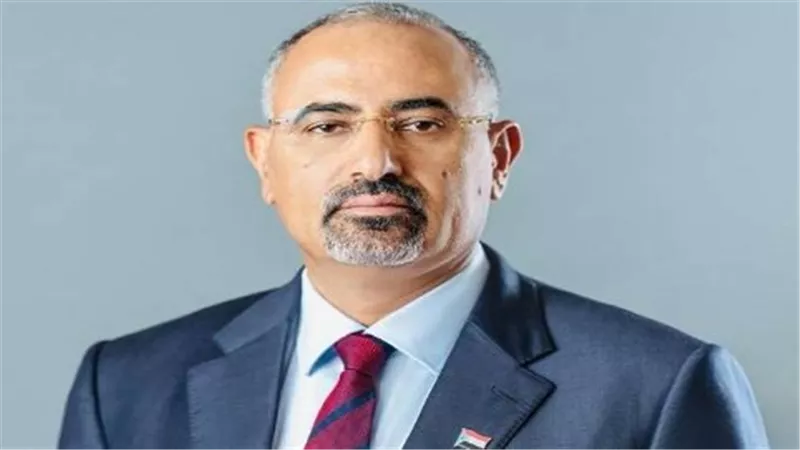 الإعلان الدستوري الجنوبي: خارطة طريق 