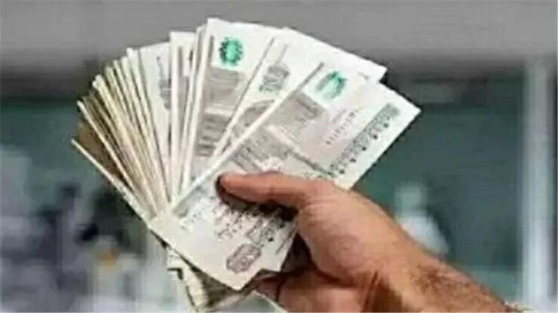 تقرير: 