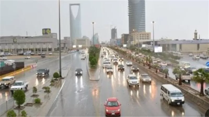 بين الأمطار والضباب.. 