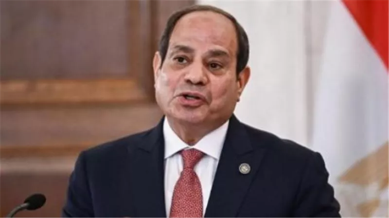 شراكة رقمية كبرى.. مصر واليابان تتفقان على تدريس 