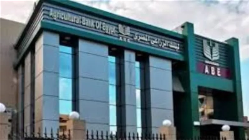 بعد خبرة 25 عامًا.. هشام محي الدين يقود ثورة الابتكار في البنك الزراعي المصري
