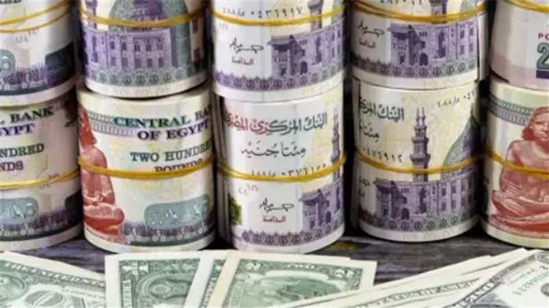 سعر الدولار اليوم الثلاثاء 20 يناير 2026.. استقرار ملحوظ في البنوك المصرية