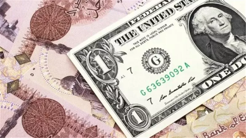 الدولار في البنك المركزي المصري.. ثبات السعر الرسمي واستقرار التدفقات النقدية