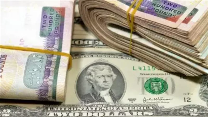 سعر الدولار مقابل الجنيه المصري 2026.. هدوء في الطلب وثبات في الأسعار الرسمية
