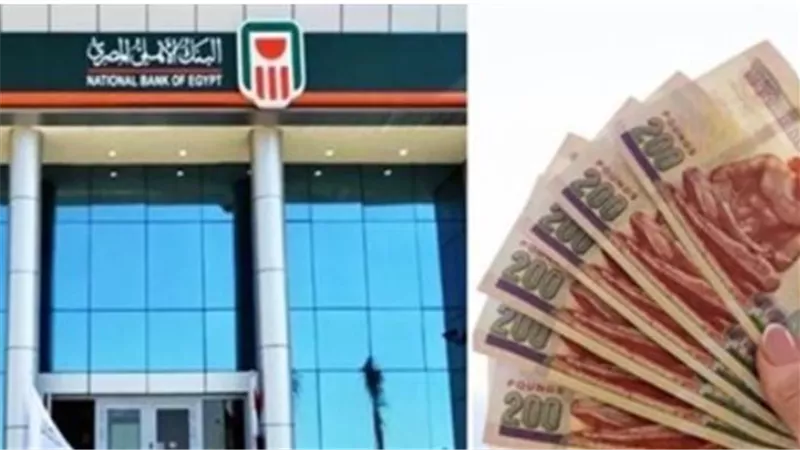 الشهادة البلاتينية المتدرجة والمتغيرة 2026.. خطة استثمار 200 ألف جنيه في أكبر بنك حكومي بمصر