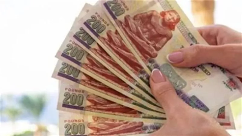 شهادة الادخار الرباعية 2026.. كل ما تريد معرفته عن أسعار الفائدة وشروط الشراء
