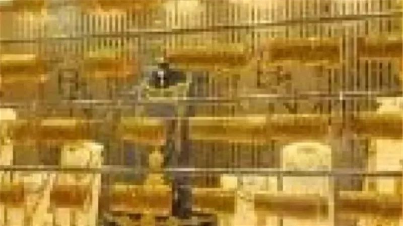 تفاصيل أسعار الذهب اليوم في مصر: عيار 21 و24 في مستويات تاريخية