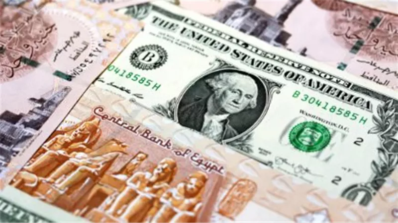 سعر الدولار اليوم مقابل الجنيه المصري: استقرار حذر في البنوك بعد موجة تراجعات يناير 2026
