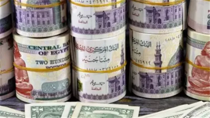 الدولار يكسر حاجز الـ 47 جنيهًا.. قراءة في أسباب هبوط العملة الخضراء وتوقعات الخبراء لما تبقى من 2026