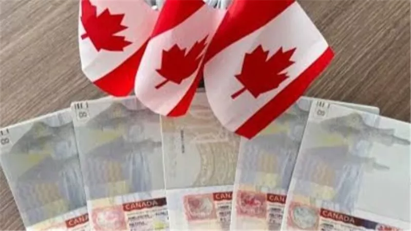 كيف تتجنب رفض تأشيرة كندا؟ أهم الشروط والمستندات الداعمة لتعزيز ملفك الشخصي