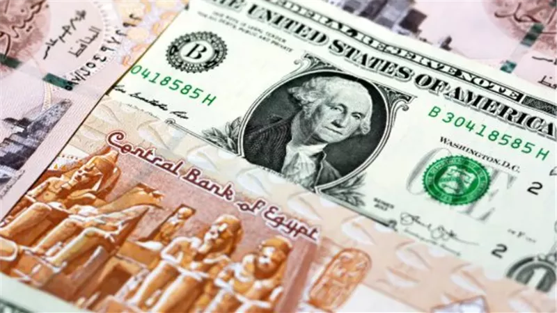 الجنيه يتنفس الصعداء.. استقرار أسعار الصرف في بنك CIB والإسكندرية والبركة