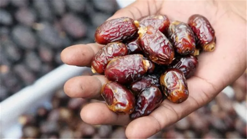 استعدادًا للشهر الكريم.. أسعار التمور اليوم في الأسواق تبدأ من 16 جنيهًا وتصل لـ 360 جنيهًا