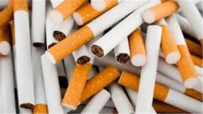 شعبة الدخان تكشف: التهريب وراء رفع أسعار السجائر الرسمية في مصر