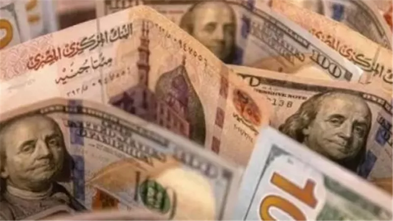 تقرير العملات اليوم: ثبات سعر الدولار في بنك التعمير والإسكان وكريدي أجريكول.
