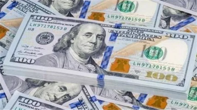 استقرار سعر الدولار في البنك المركزي المصري والبنوك الكبرى
