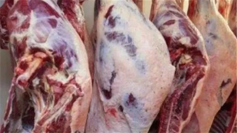 اللحوم في وزارة الزراعة ومنافذ أمان: تخفيضات كبرى تصل لـ 30% على المفروم والكندوز