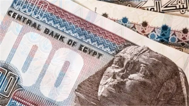 المالية تعلن جاهزية المنظومة الإلكترونية لصرف مرتبات فبراير بدءًا من منتصف الشهر