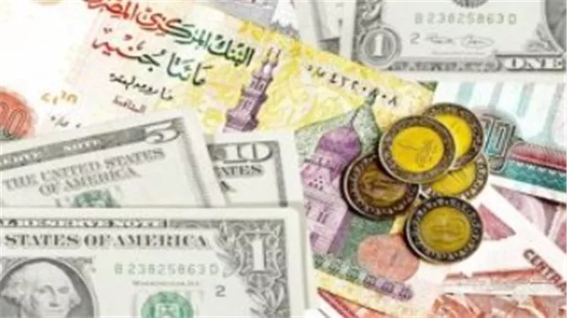  أسعار صرف العملات الأجنبية مقابل الجنيه المصري اليوم 12_2_ 2026