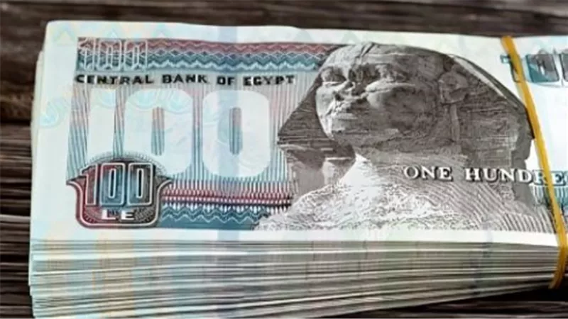 استثمار ذكي: كيف تحصل على عائد يومي من مدخراتك عبر شهادة يوماتي في 2026؟