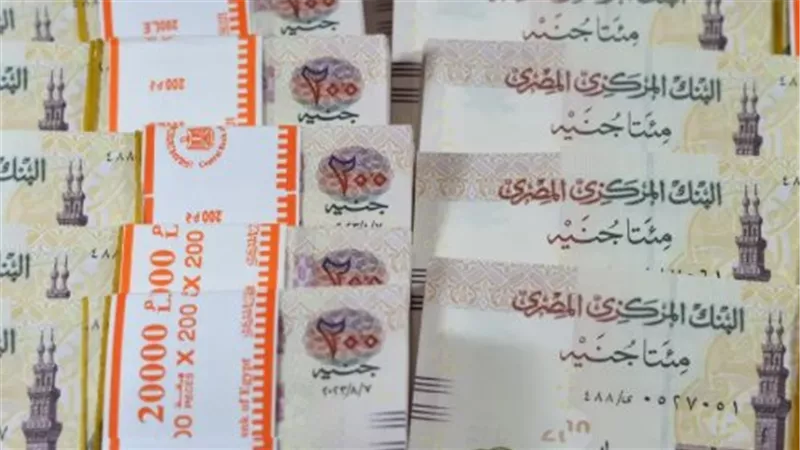 وزير المالية يعلن: بدء صرف مرتبات فبراير لجميع موظفي الدولة اعتبارًا من 16 فبراير