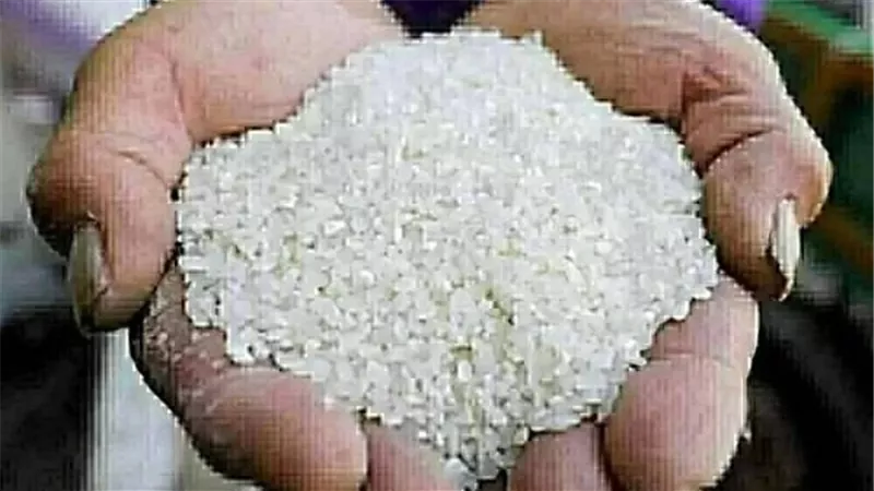 استقرار ملحوظ في سعر طن الأرز الشعير والأبيض اليوم تزامنًا مع اقتراب رمضان