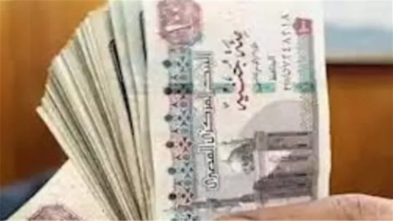 وزارة التضامن والتأمينات: استعدادات مكثفة لصرف معاشات مارس لـ 11.5 مليون مستفيد