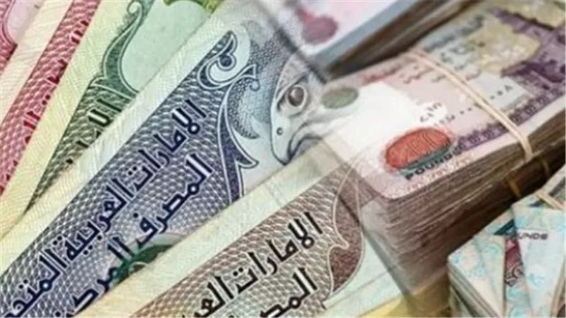 الدرهم الإماراتي في بنك الإسكندرية وقناة السويس.. قائمة أسعار الصرف المحدثة اليوم
