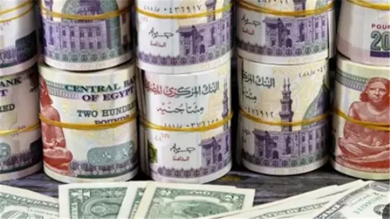 بعد موجة الارتفاع.. هدوء في سوق الصرف المصري واستقرار الدولار عند مستوى 47 جنيهًا
