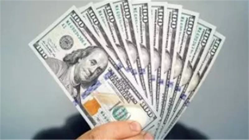 تقرير العملات: هدوء في حركة بيع وشراء الدولار بالبنوك المصرية اليوم الثلاثاء
